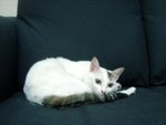 DSC03740