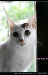 IMG_00631