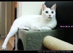 IMG_00671