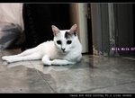 IMG_05901