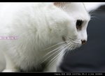 IMG_05991