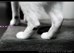 IMG_06021