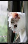 IMG_06141