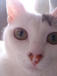 DSC06886