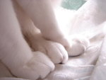DSC06893