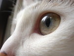 DSC06901
