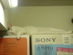 DSC01034