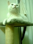 DSC01132