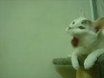 DSC01143