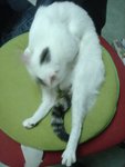 DSC01569