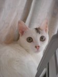 DSC02401