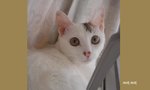 DSC024011