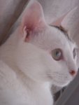 DSC02402