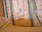 DSC02404