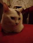 DSC09964