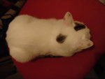 DSC09965