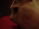 DSC09966