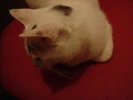 DSC09967
