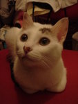 DSC09969