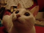 DSC09970