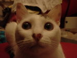 DSC09972