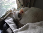 DSC04167