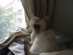 DSC04169