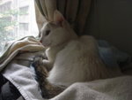 DSC04171