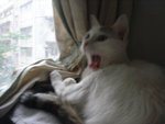 DSC04180