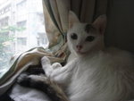 DSC04181