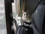 DSC04196