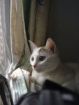 DSC04197