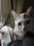 DSC04198
