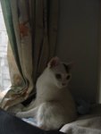 DSC04200