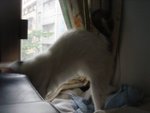 DSC04202