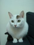 DSC04240