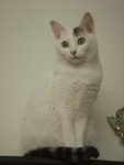 DSC04253