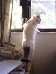 DSC04307