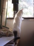 DSC04308