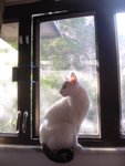DSC04323
