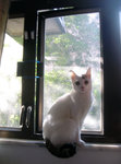 DSC043241