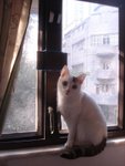 DSC04341