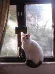 DSC04343