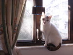 DSC04344