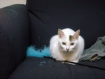 DSC04687