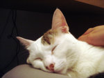 DSC04730
