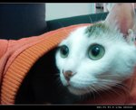DSC000921