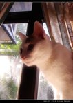 DSC000981