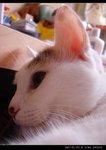 DSC001011