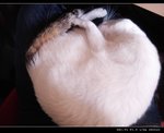 DSC001031